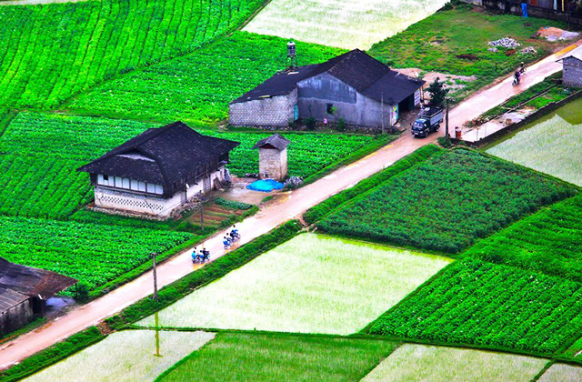 Trong[-]tháng[-]7[-]có[-]1-2[-]cơn[-]bão[-]hoặc[-]áp[-]thấp[-]nhiệt[-]đới,[-]khoảng[-]2-3[-]đợt[-]nắng[-]nóng[-]